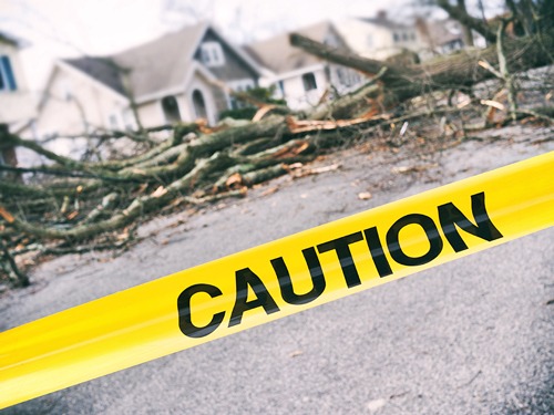 Emergency Tree Assistance in Tulsa, Oklahoma