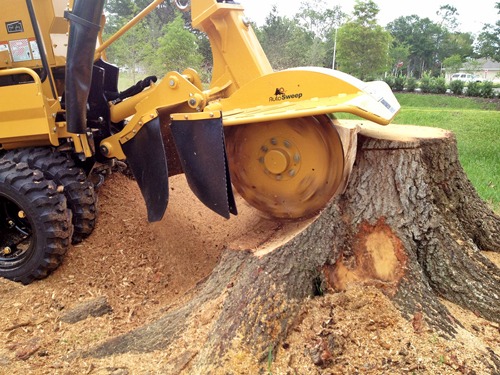Stump grinding and removal in Tulsa, Oklahoma
